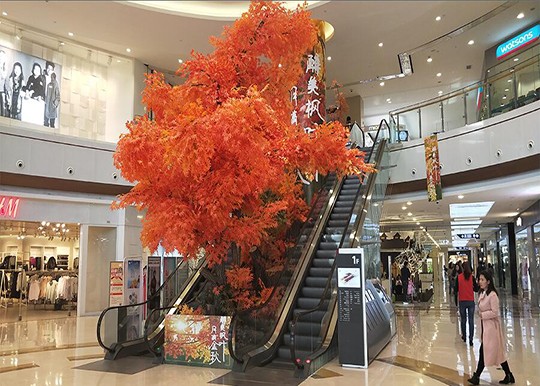 蘭山區室內dp點